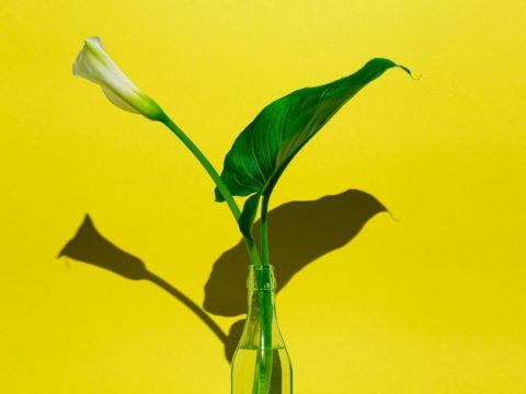 A Reddit Community Has Changed into a Memorial for Covid-19 Victims