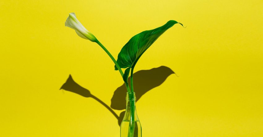 A Reddit Community Has Changed into a Memorial for Covid-19 Victims