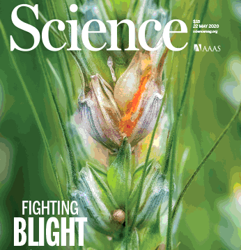 Slump tests and rankings