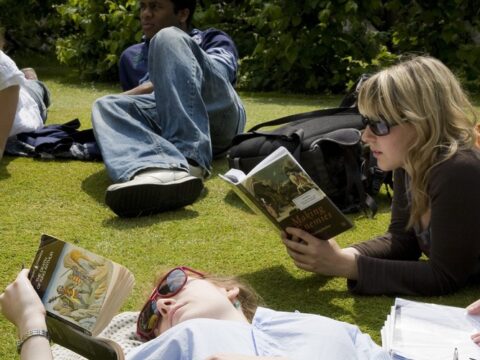 The University Is Like a CD within the Streaming Age