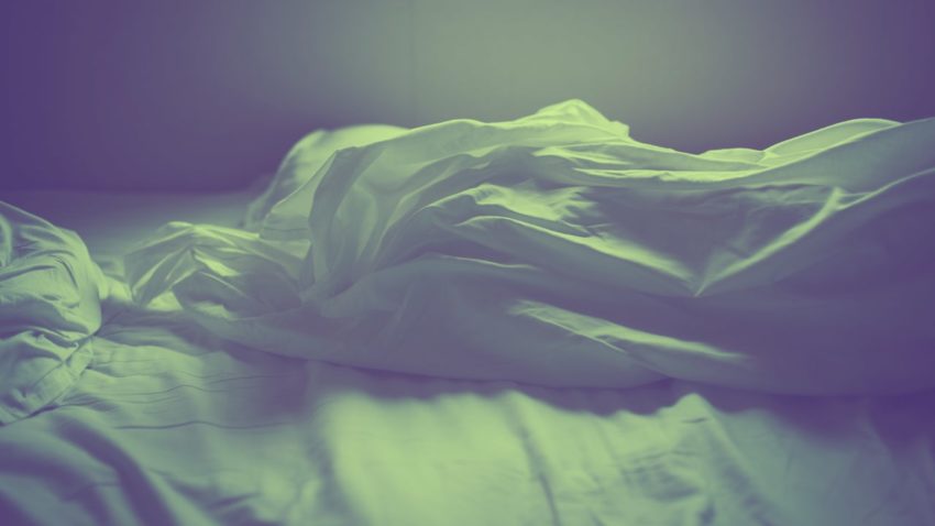 Urban planners characterize where bedbugs thrive within the creepiest research mission in historical previous