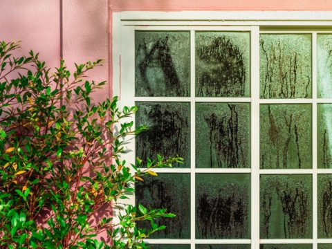 It is No longer Stunning the Impolite Heat. It is the Impolite Humidity