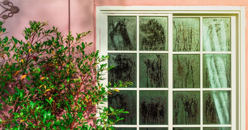 It is No longer Stunning the Impolite Heat. It is the Impolite Humidity