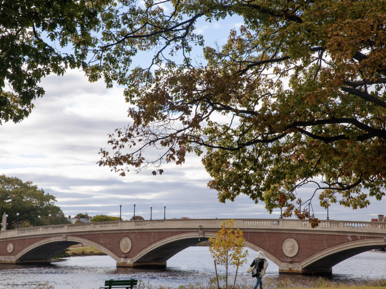 Harvard will elevate some students back to campus in the fall amid coronavirus