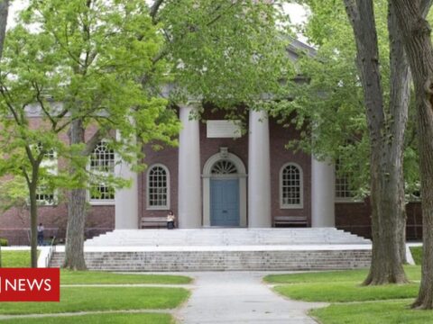 Coronavirus: Arouse over US decision on international students’ visas