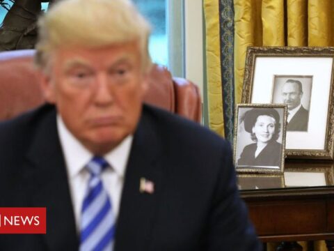 Five swish passages in Mary Trump’s repeat-all guide