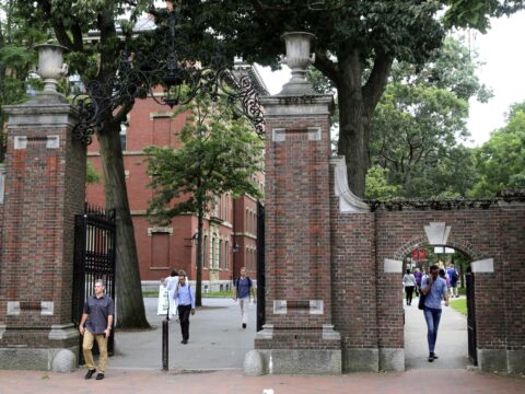 Schools, Companies, Cities Push Again On Rule Blocking off Some Worldwide College students