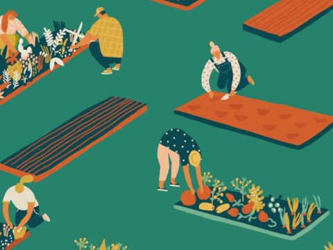 The influencers of pandemic gardening