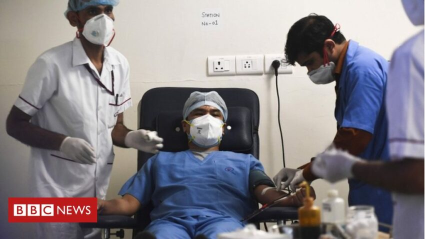 Coronavirus India: Chase for plasma therapy as Covid-19 instances upward thrust