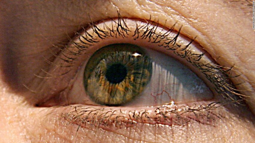 Declining eyesight can even be improved by  pink gentle, pilot get out about says