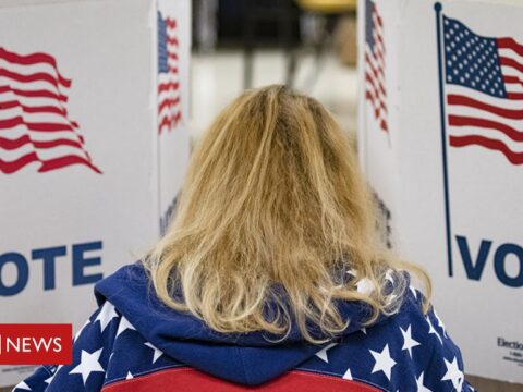 US election 2020: What’s the electoral college?