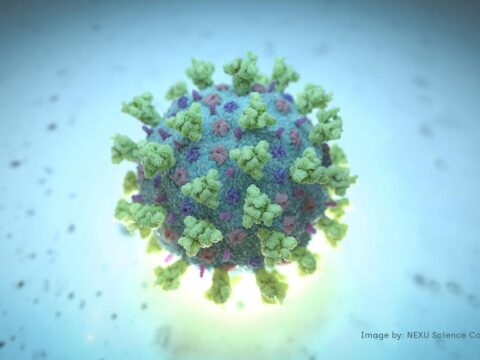 Lung radiation displays promise for COVID-19 pneumonia; smoking raises dangers