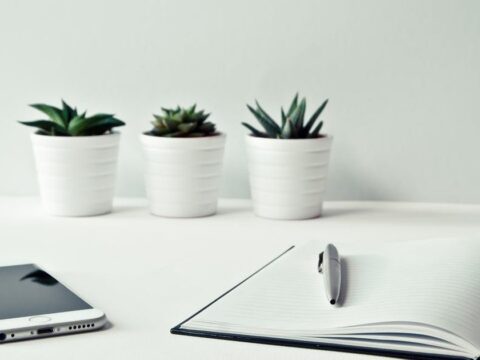 Why a commercial education must not fee you hundreds of bucks