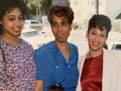 Idea: How Harris’ chronicle upends the ‘model minority’ stereotype