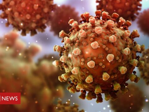 Man ‘reinfected with virus after four months’