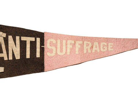 The Females Who Fought In opposition to the Vote