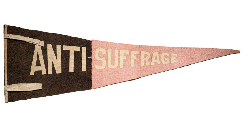 The Females Who Fought In opposition to the Vote